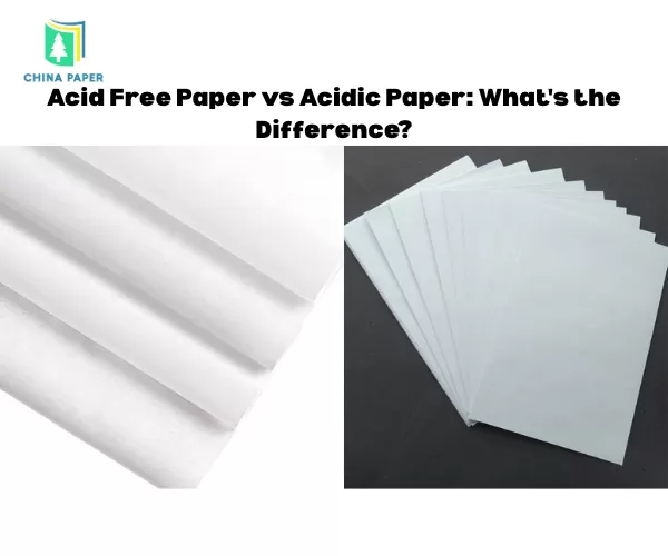 Papier sans acide vs papier acide : quelle est la différence ?