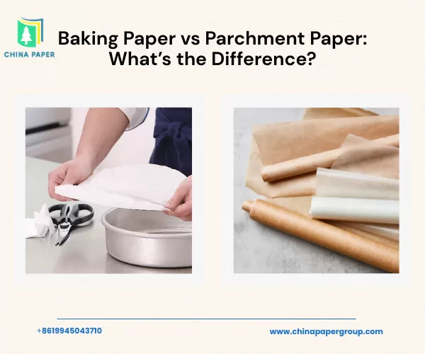 Papier cuisson vs papier sulfurisé : quelle est la différence ?