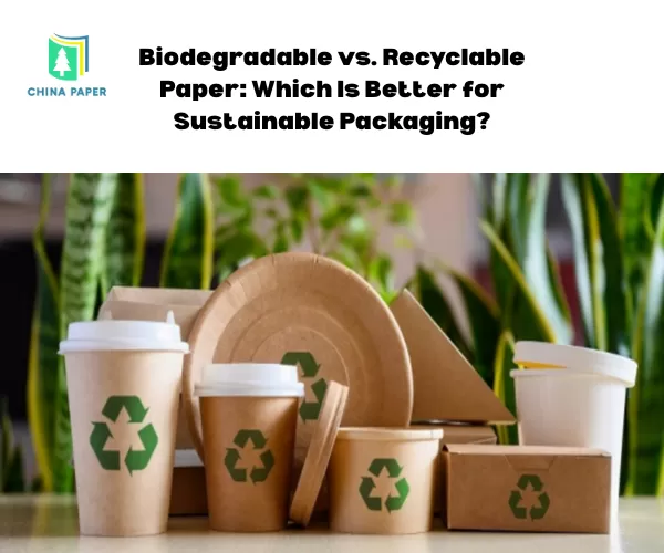 Papier biodégradable vs recyclable : quel est le meilleur pour un emballage durable ?