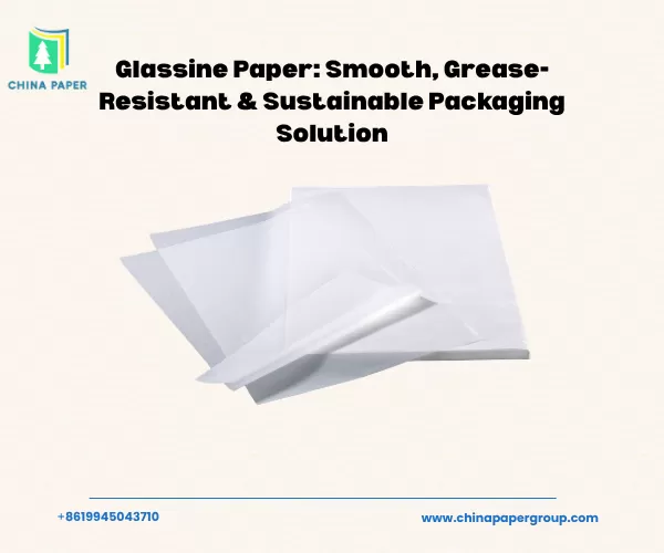 Papier glassine : solution d'emballage lisse, résistant à la graisse et durable.