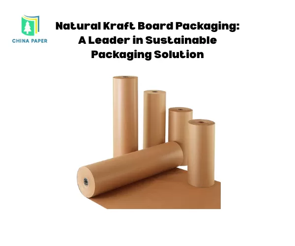 Emballage en carton kraft naturel : un leader des solutions d'emballage durable