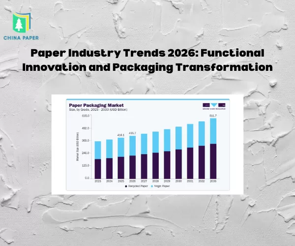 Tendances de l'industrie papetière 2026 : Innovation fonctionnelle et transformation de l'emballage