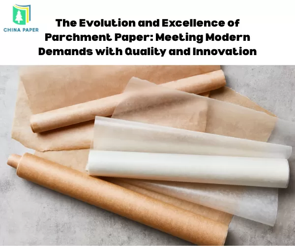 L'évolution et l'excellence du papier sulfurisé : répondre aux exigences modernes avec qualité et innovation