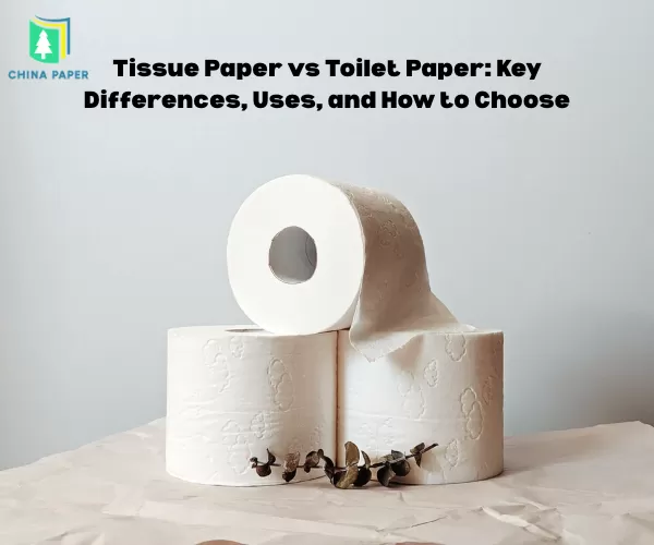 Papier de soie vs papier toilette : principales différences, utilisations et comment choisir