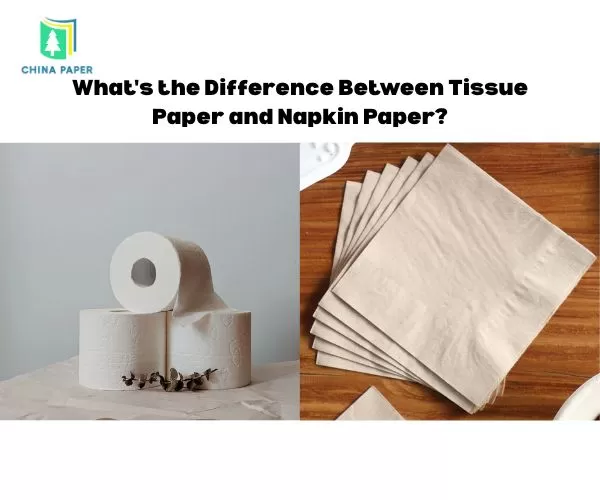 Quelle est la différence entre le papier de soie et le papier serviette ?