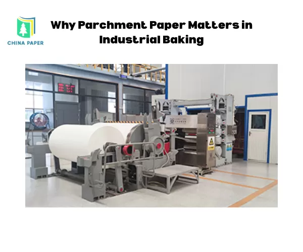Pourquoi le papier sulfurisé est important dans la boulangerie industrielle
