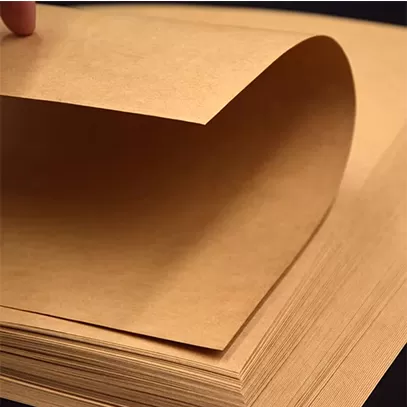 Papier kraft absorbant