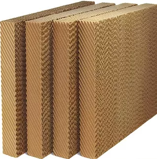 Papier kraft absorbant