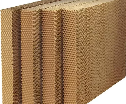 Papier kraft absorbant