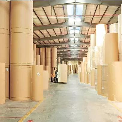 Papier kraft absorbant