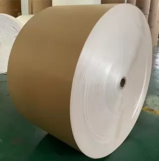 Carton couché dos kraft (CKB)