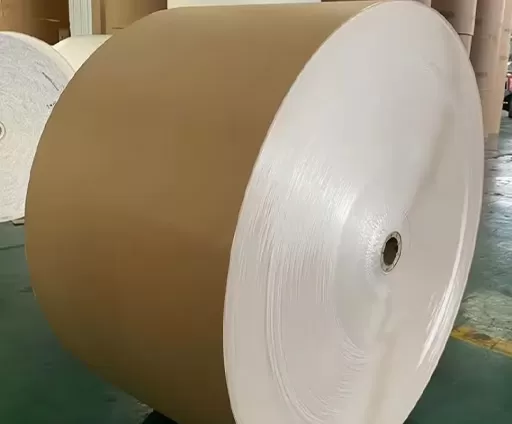 Carton couché dos kraft (CKB)