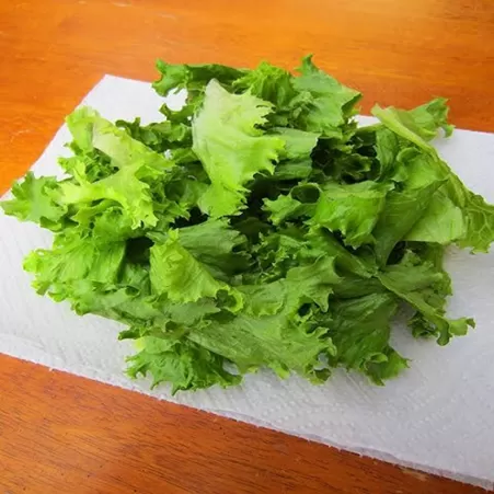 Cuisine et Préparation des aliments