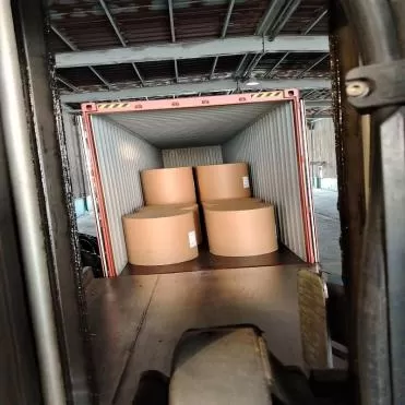 Fabrication d'emballages alimentaires en carton duplex à vendre