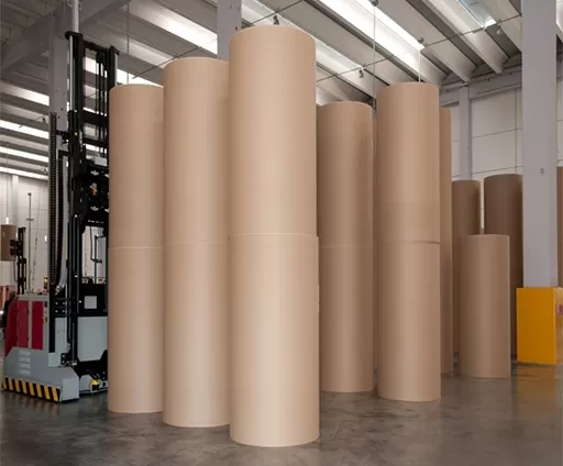 Carton liner kraft