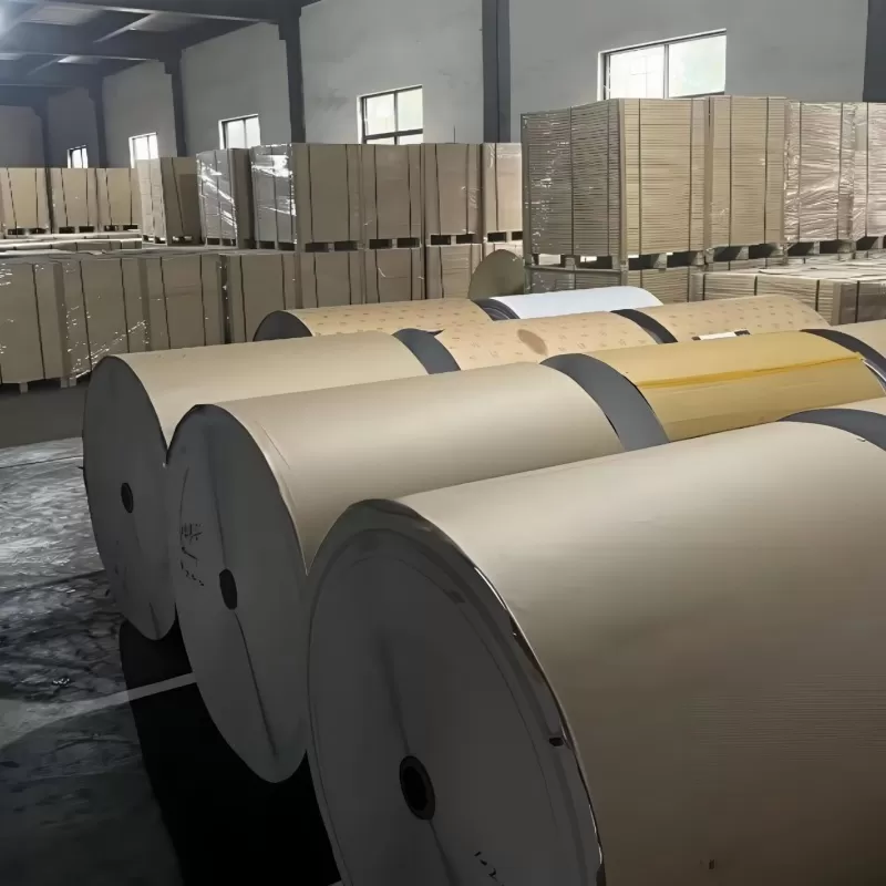 Carton pour emballage liquide