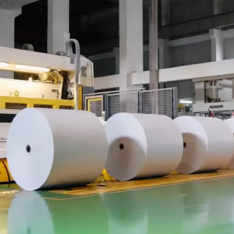 Carton d'emballage pour liquides