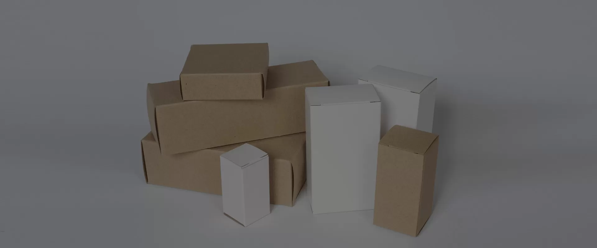 Carton d'emballage haut de gamme | China Paper