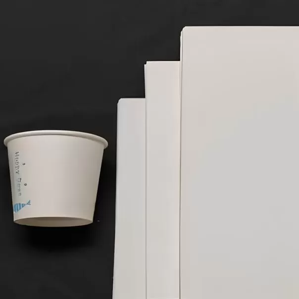 Papier de base non couché pour gobelets